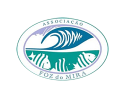 AFM